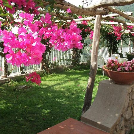 Bouganville Home Vietri Dış mekan fotoğraf