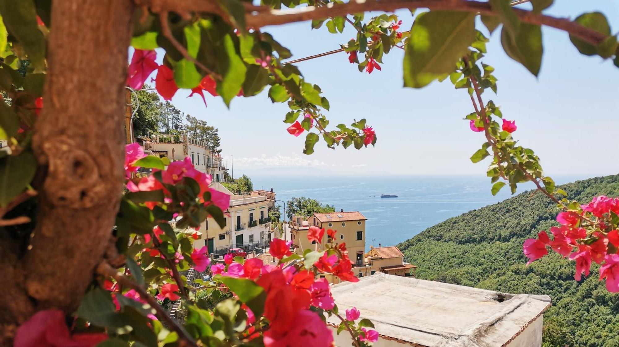 Bouganville Home Vietri Dış mekan fotoğraf