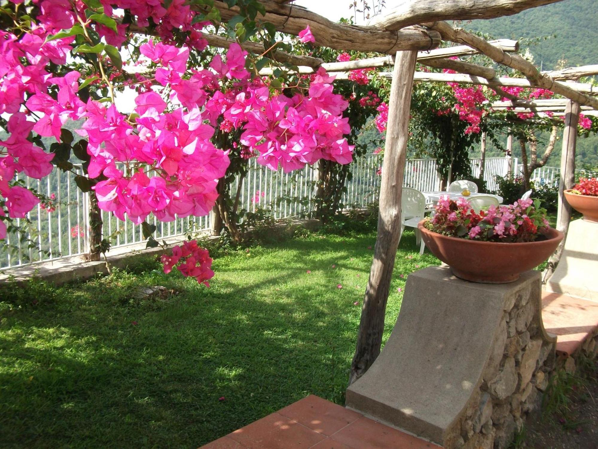 Bouganville Home Vietri Dış mekan fotoğraf